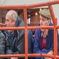 Sheep show and sale (7)